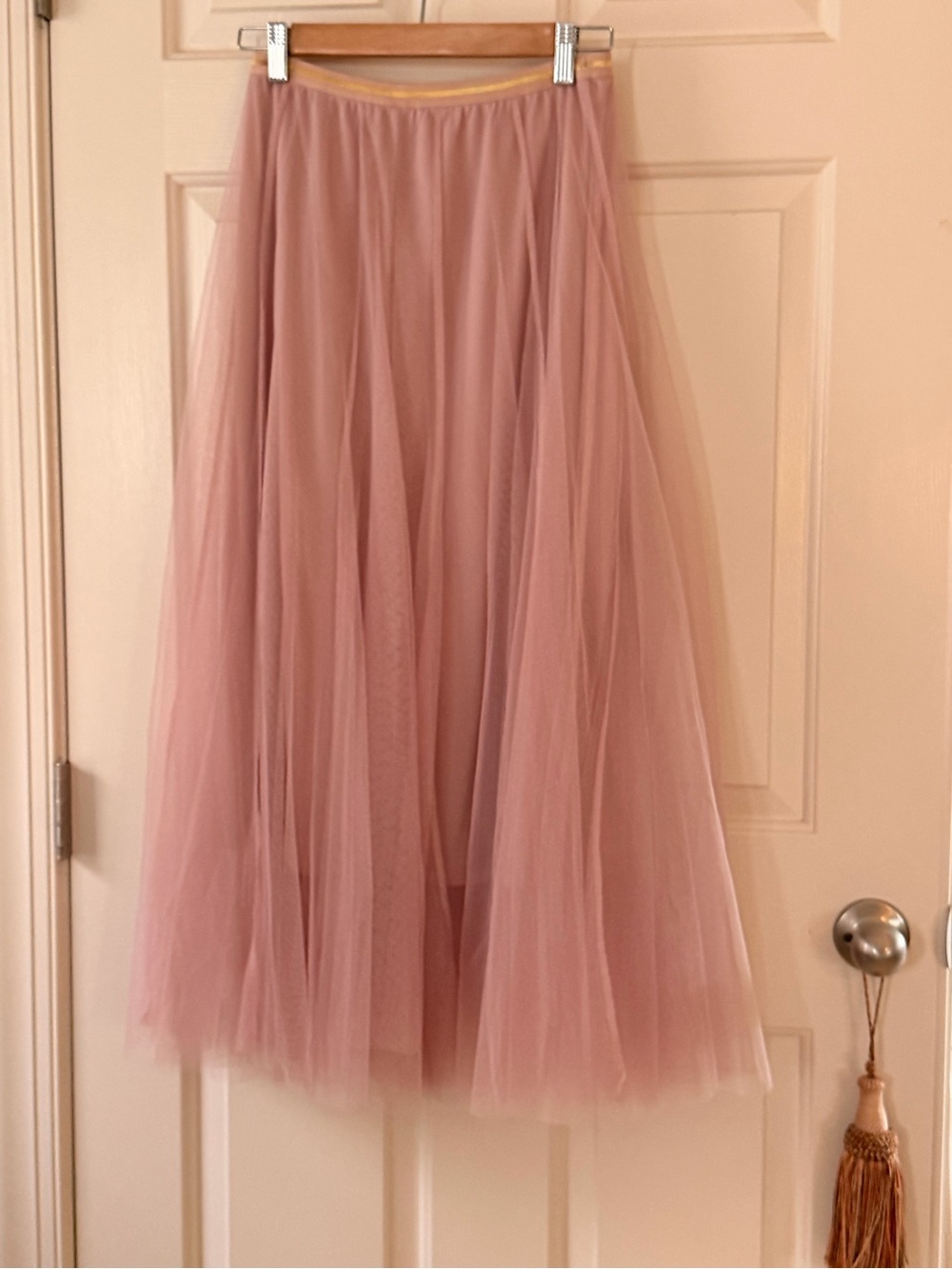 Chick Wish Blush Tulle Maxi Skirt